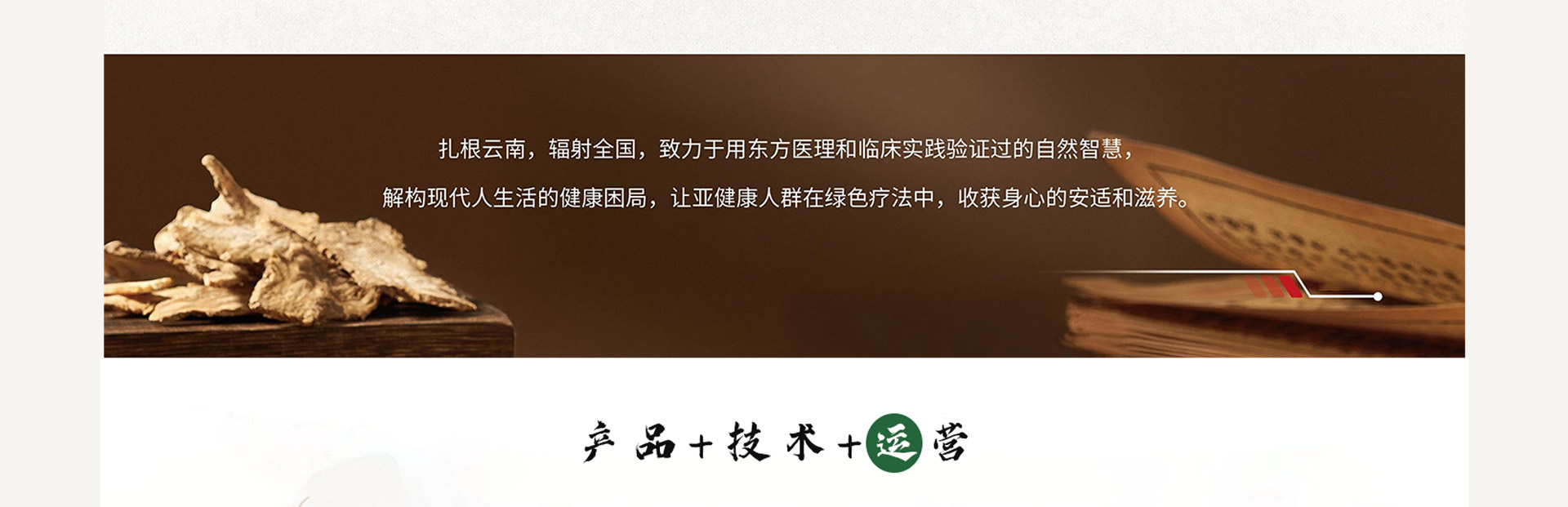 理瀹岐黄平台立志扎根云南，辐射全国，致力于用东方医理和临床实践验证过的自然智慧，解构现代人生活的健康困局，让亚健康人群在绿色疗法中，收获身心的安适和滋养。